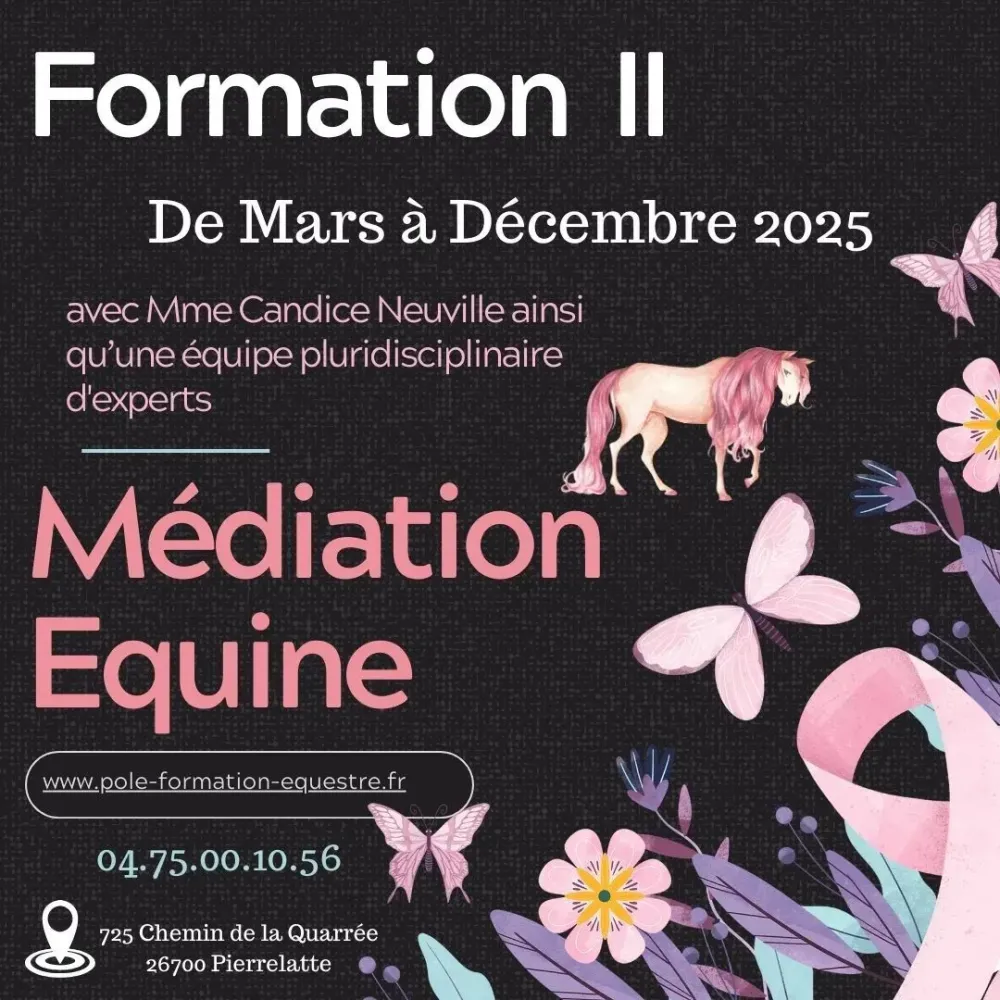 mediation-equine