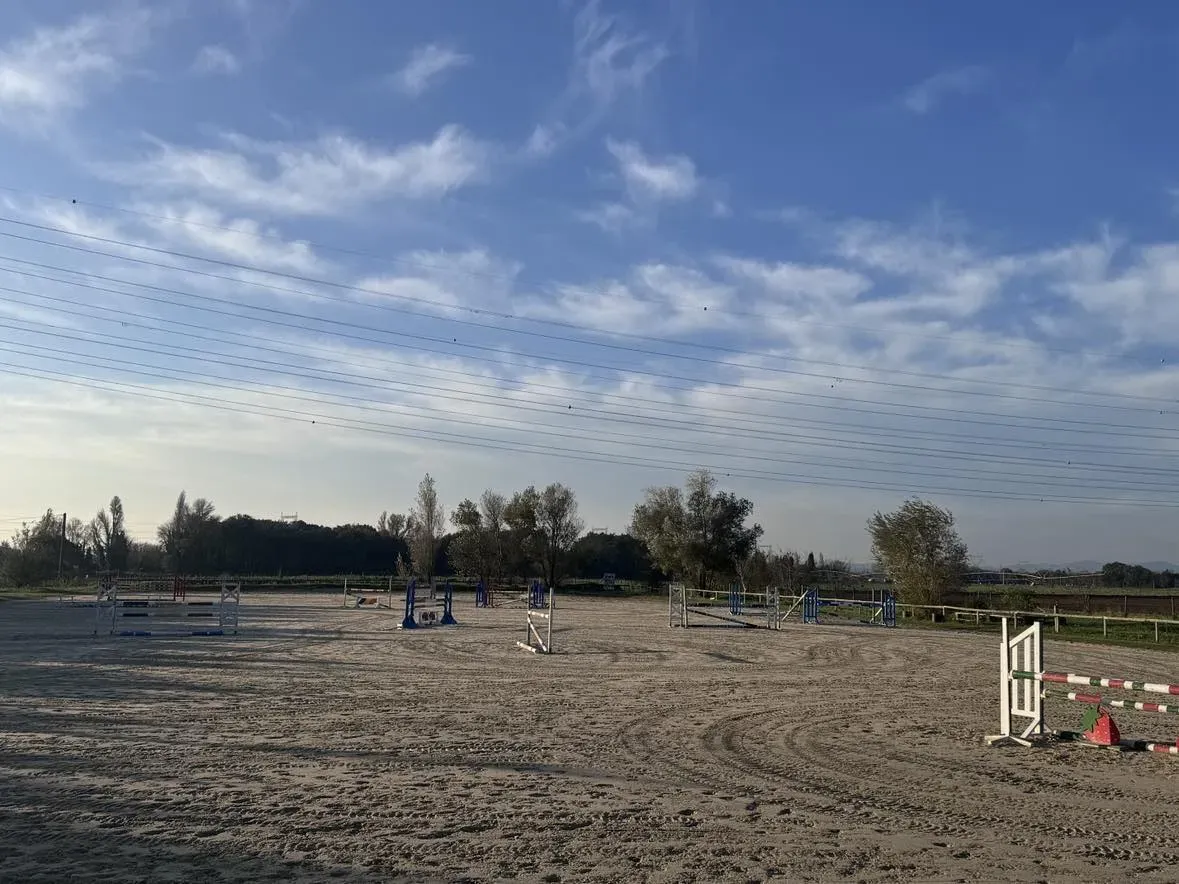 Carrière de saut d'obstacle de notre pôle de formation équestre