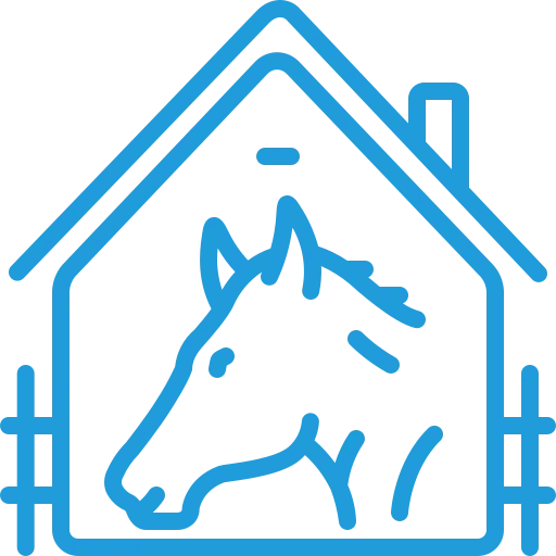 cheval (1).webp