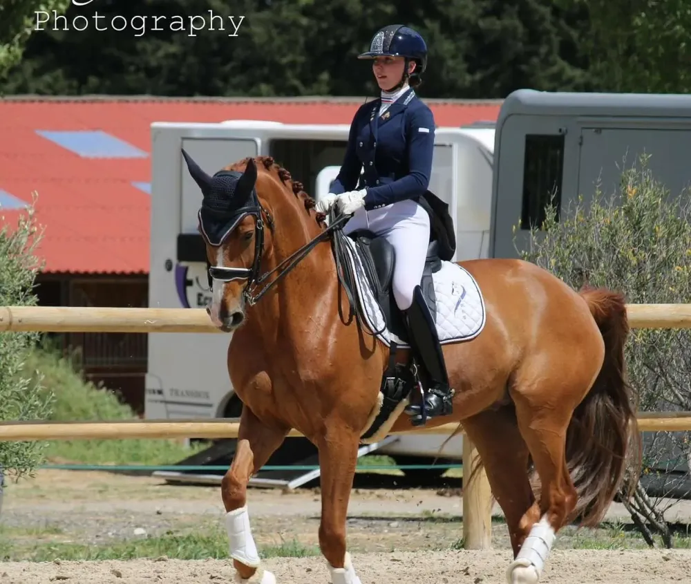 reprise-dressage