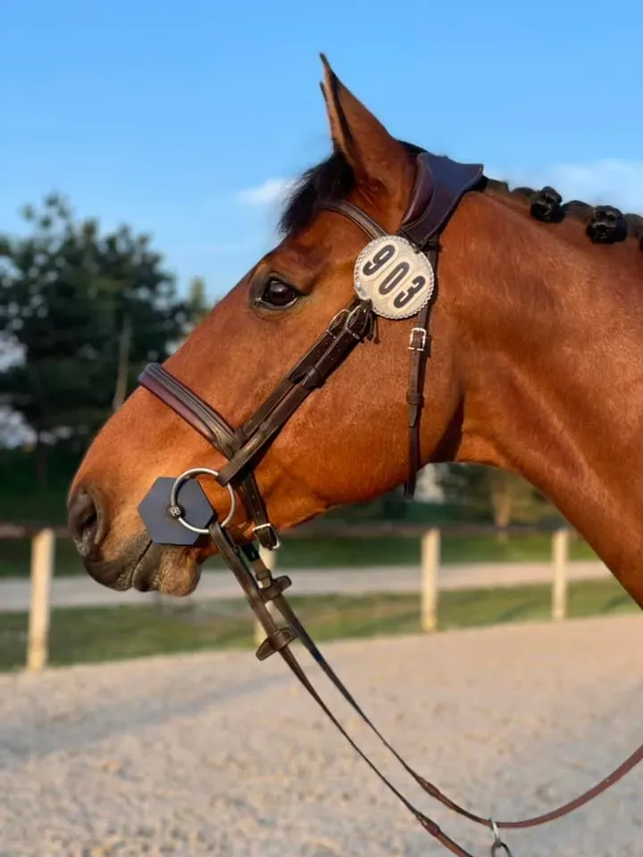 développer la motricité du cheval et stimuler l'autonomie 