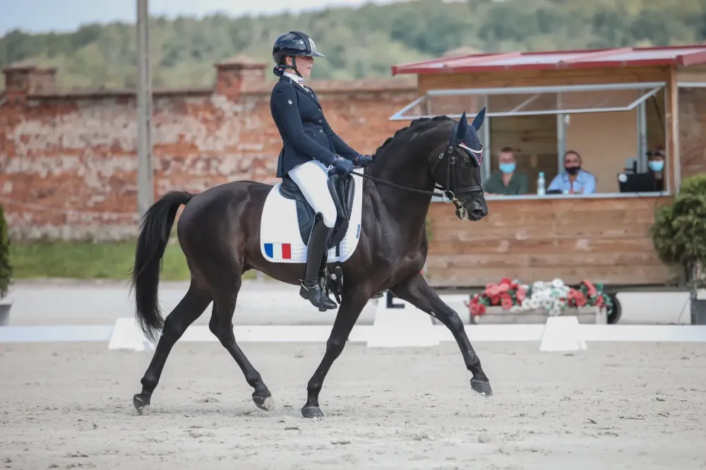 Formation équitation à Pierrelatte