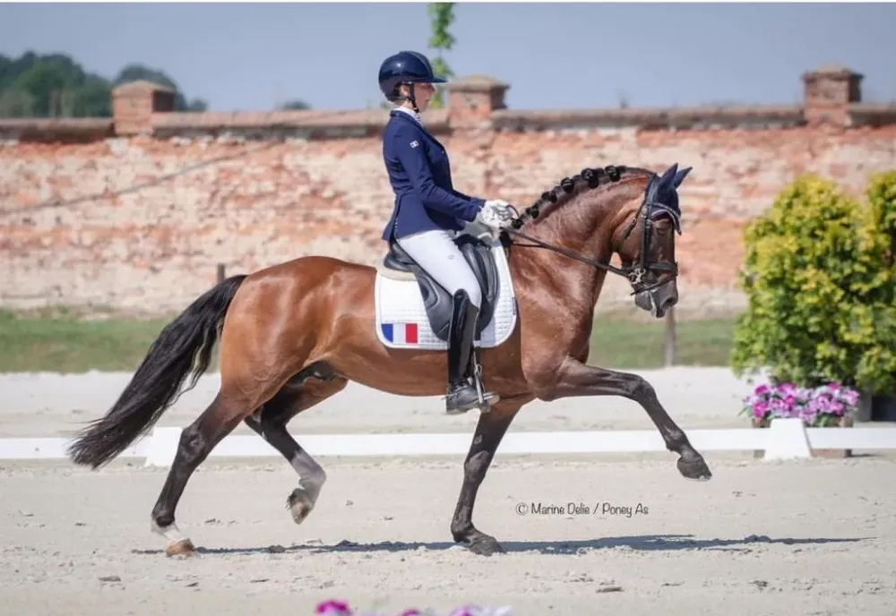 france-2022 (7)