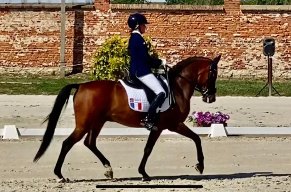 france-2022 (15)