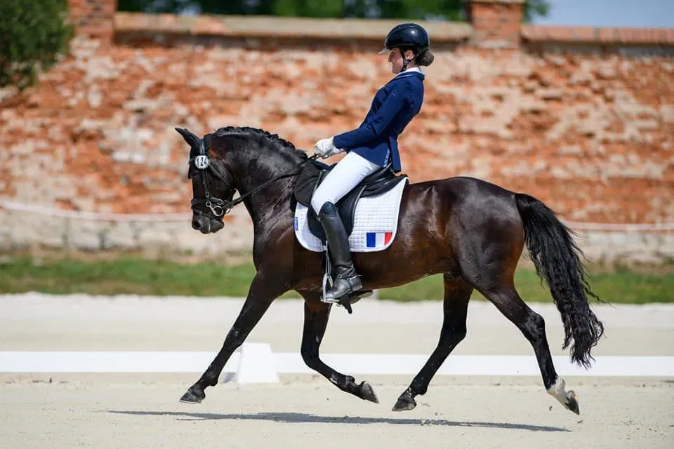 france-2022 (23)
