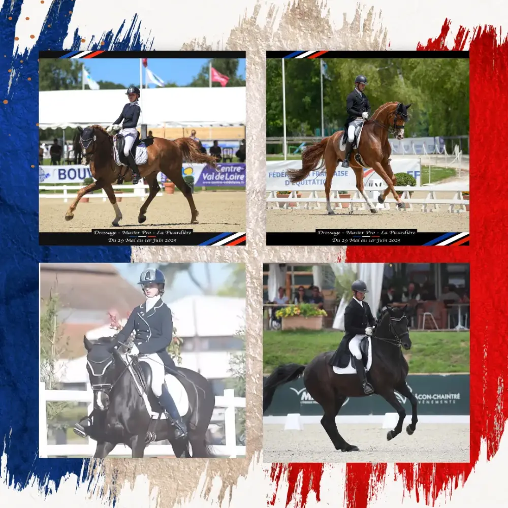 VIERZON