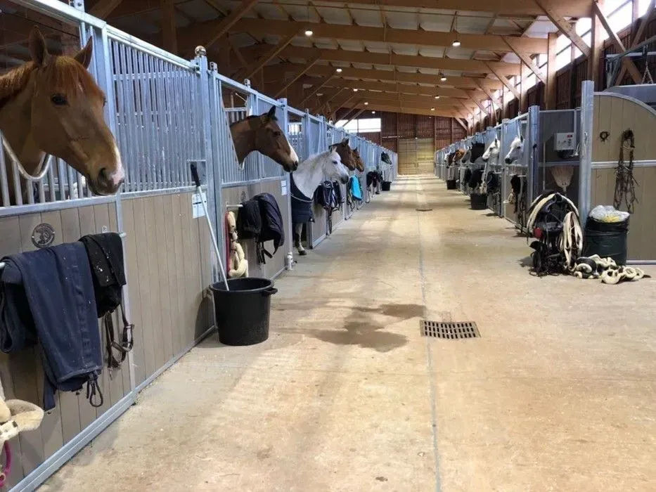 instllations-pole-de-formation-equestre-pierrelles (1)