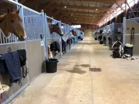 instllations-pole-de-formation-equestre-pierrelles (1)