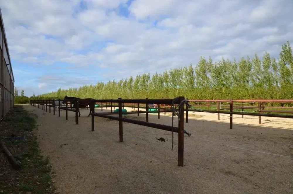 instllations-pole-de-formation-equestre-pierrelles (7)