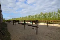 instllations-pole-de-formation-equestre-pierrelles (7)
