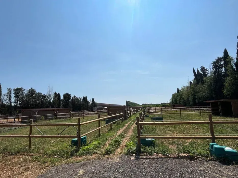 instllations-pole-de-formation-equestre-pierrelles (8)