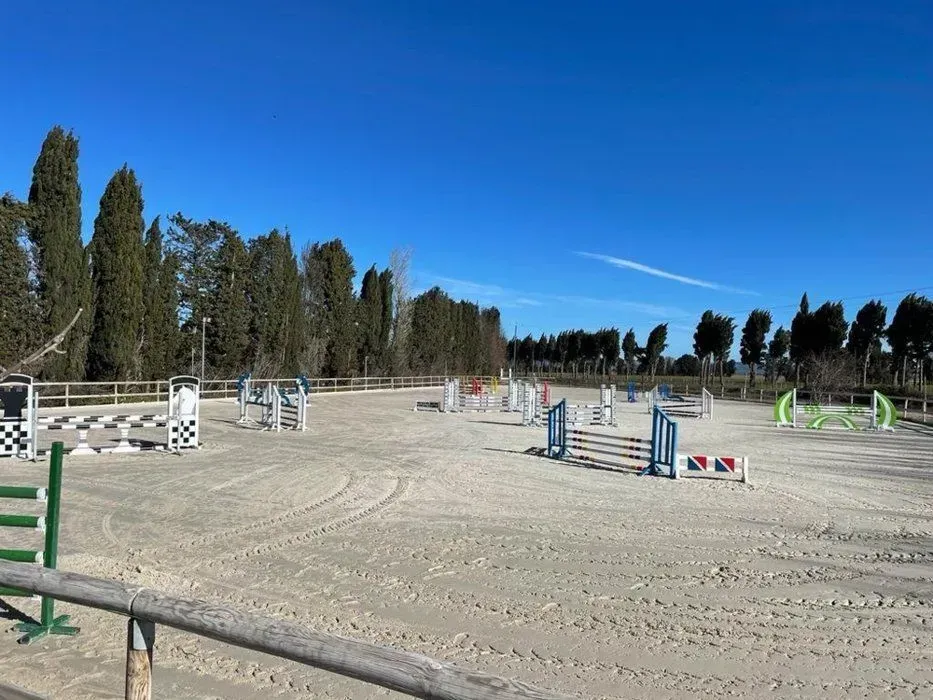 instllations-pole-de-formation-equestre-pierrelles (9)