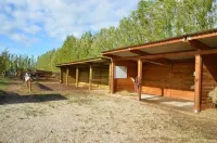 instllations-pole-de-formation-equestre-pierrelles (11)