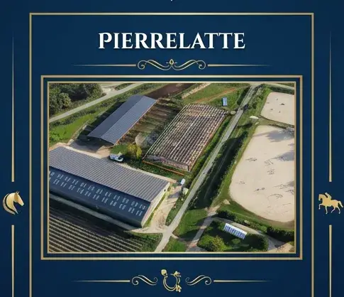 Pôle de formation équestre Drôme (26)