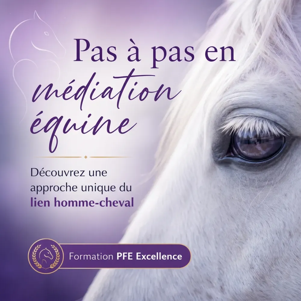 Bannière 1 - Découverte Format Carrwebp